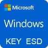 Microsoft WINDOWS 11 PRO 32/64 BIT KEY ESD - Attivazione on-line